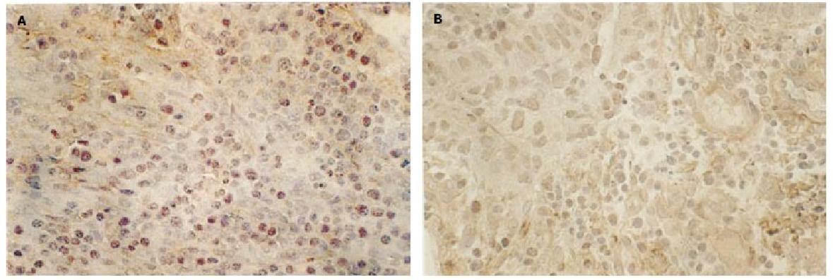 1758765699252704.png 图片2更新.png