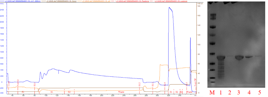 1758770220570463.png 5.png