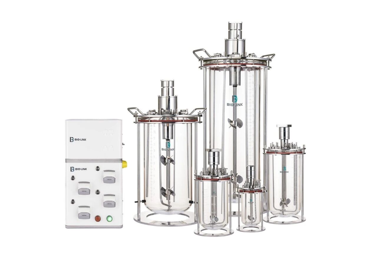 1763706553817755.jpg 3.jpg